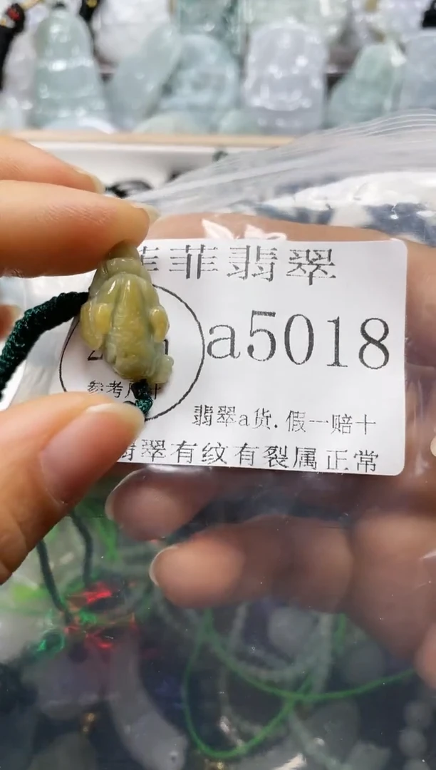【闪购商品】翡翠颈饰未镶嵌闪购5018