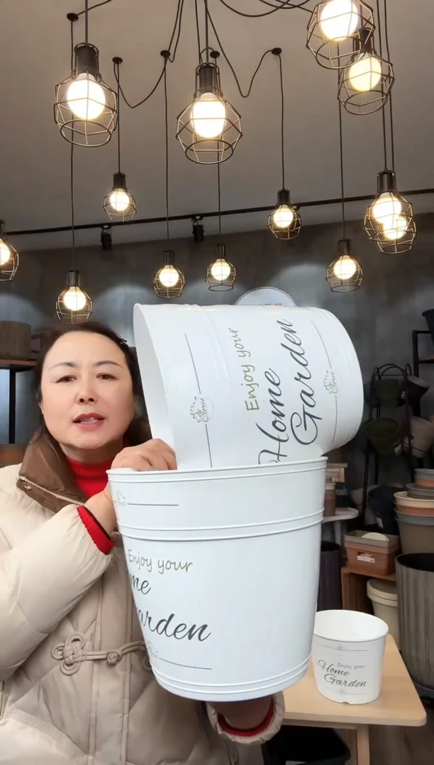 【闪购商品】塑料塑料10.7寸罗斯玛丽字母白 5只