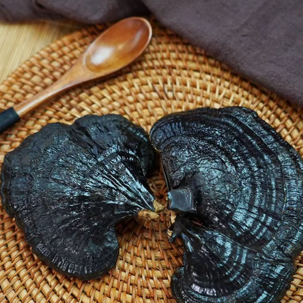 【跑山妮儿】灵芝正宗