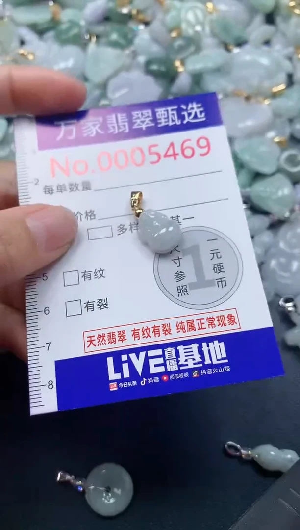吊坠(不含链)未镶嵌翡翠5469