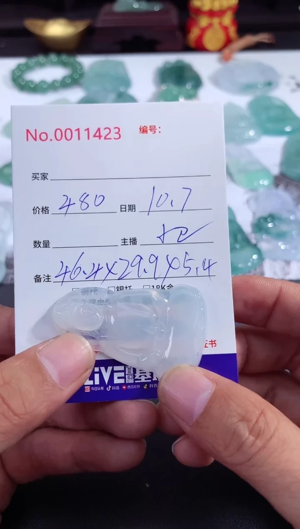 颈饰未镶嵌翡翠素衣