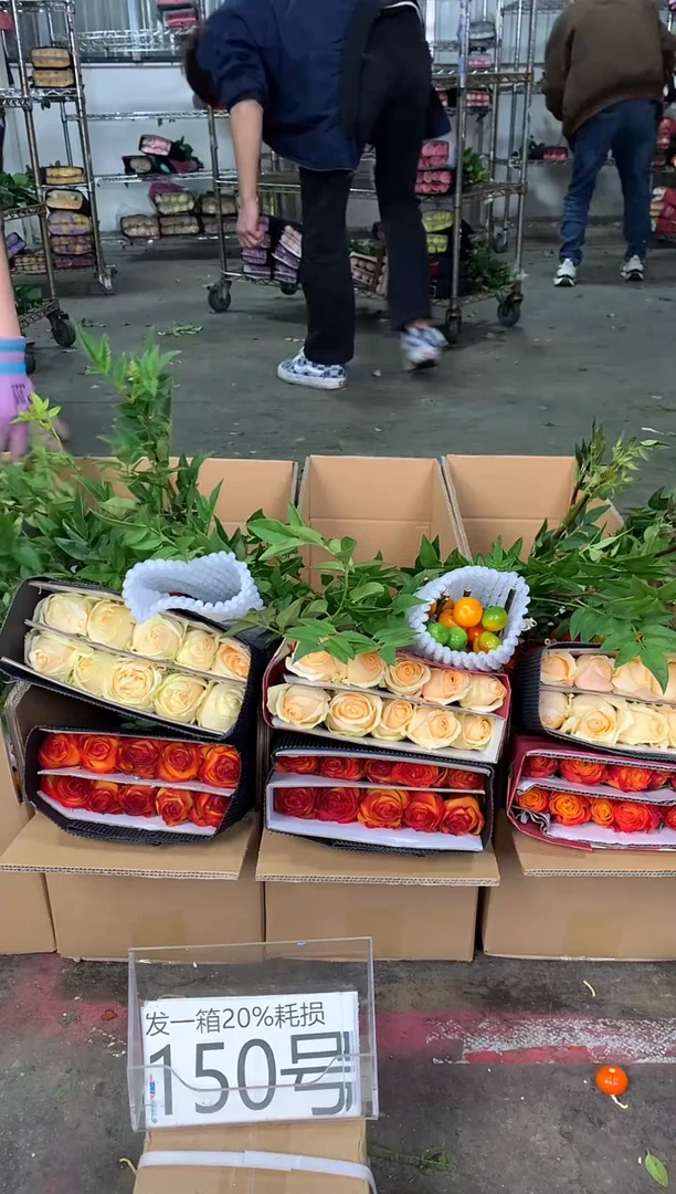 150号♥中通含20%耗损发一箱鲜花
