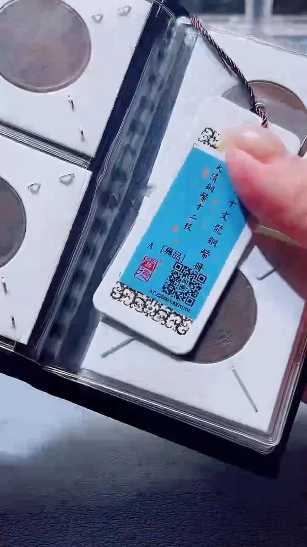 铜A649闻德大清铜币12枚册(柏杨)