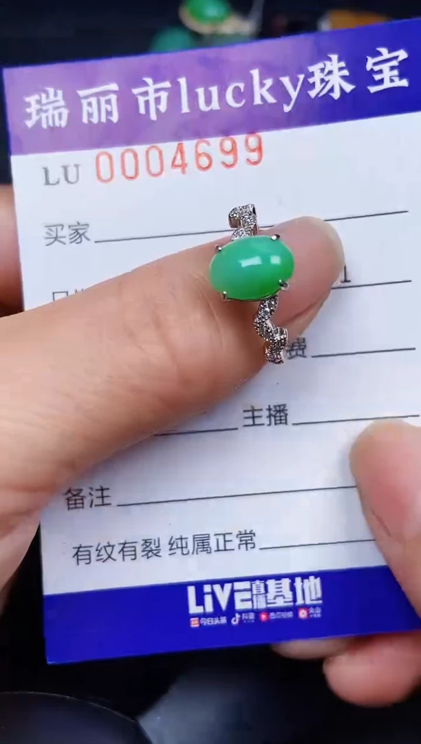 翡翠银S925镶嵌颈饰4699