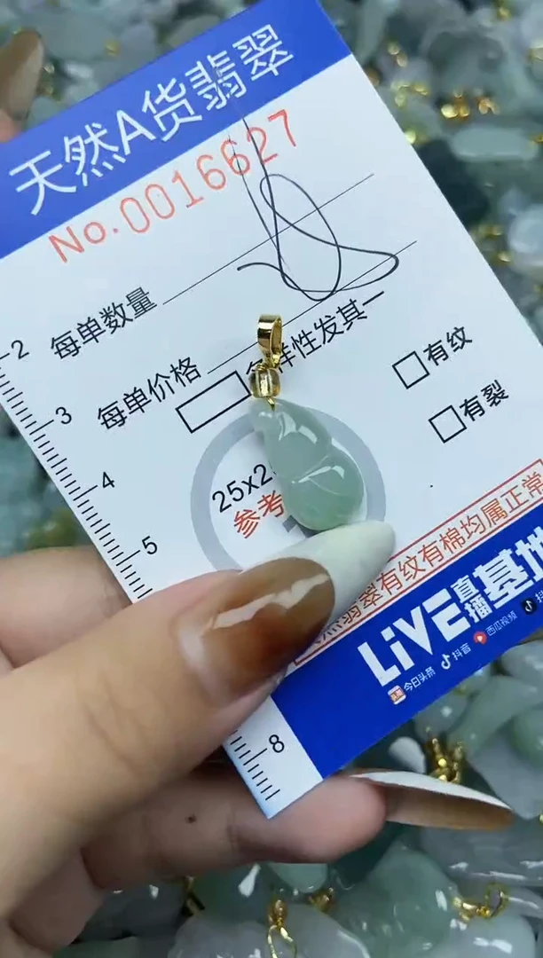 【闪购商品】翡翠颈饰未镶嵌天然A货翡翠