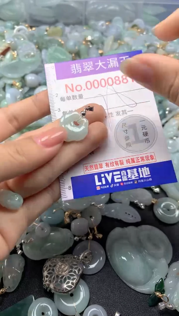 颈饰未镶嵌翡翠881
