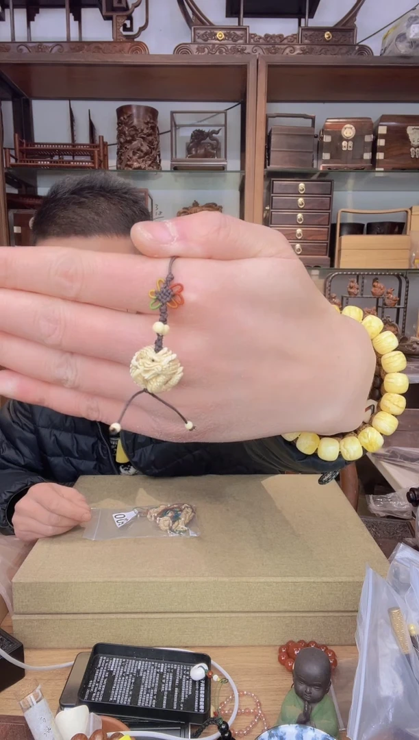 【闪购商品】乌木类书架500松山猛犸龙小挂件