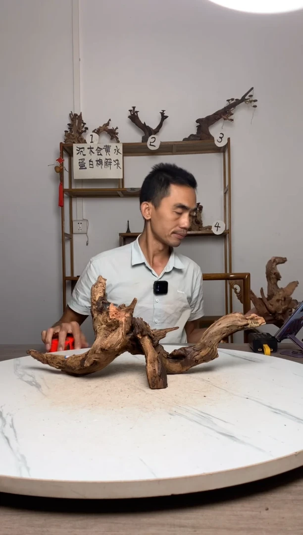 笑**生鱼缸造景沉木摆件