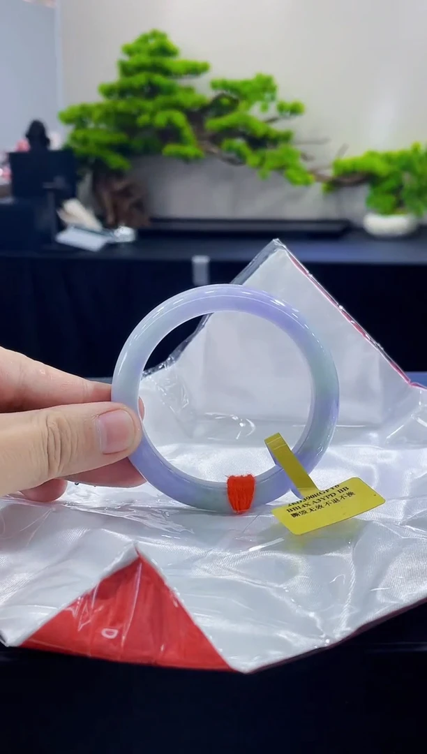 未镶嵌手镯翡翠4