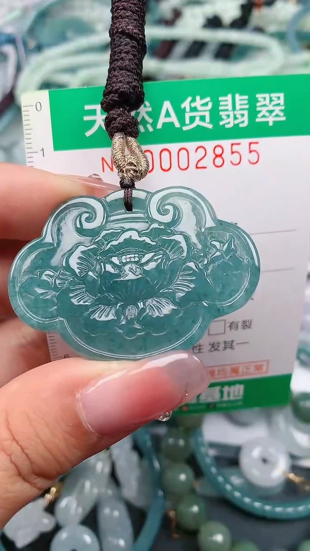 颈饰未镶嵌翡翠.0002855