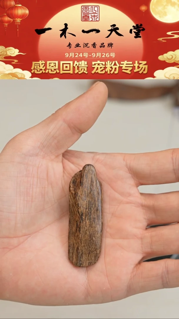 沉香沉香碎屑菲律宾莱特沉水5g