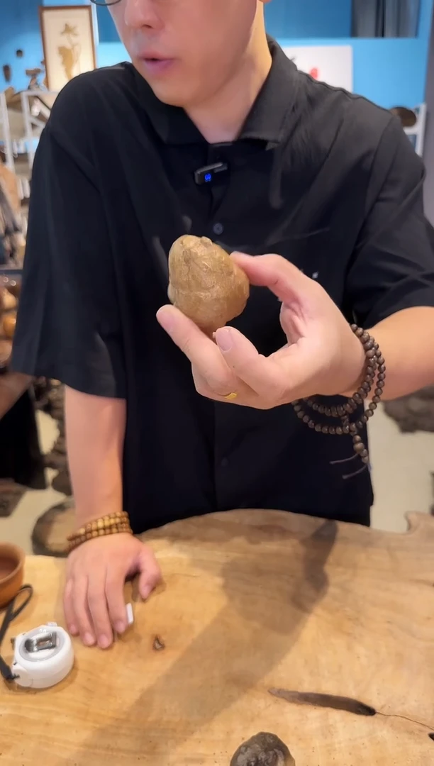 木乌木金丝楠小角蛙