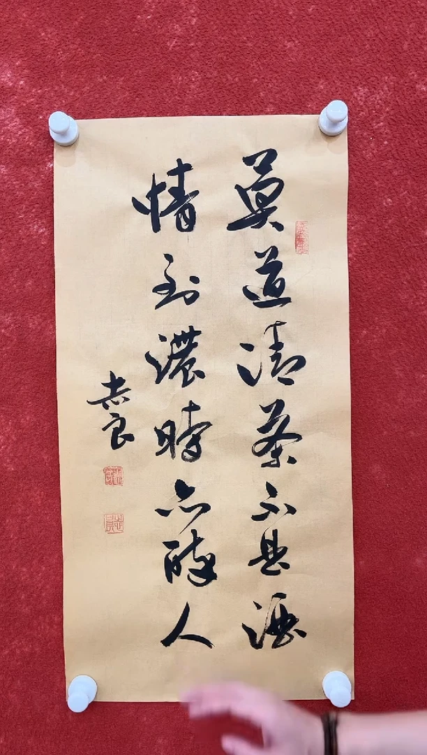 国画12.8zz-袁志良-不带国检证书-书法5