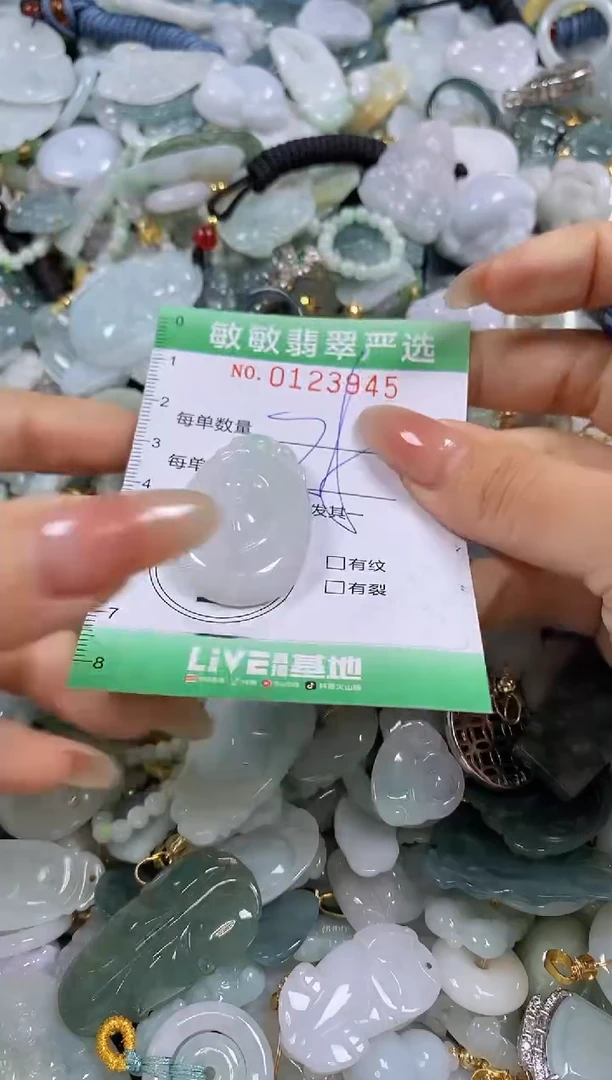 【闪购商品】翡翠颈饰未镶嵌闪购0123945