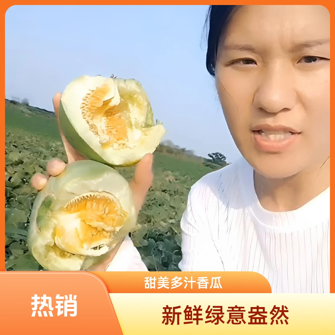 【顺丰包邮】正宗头茬露天绿宝石甜瓜新鲜采摘