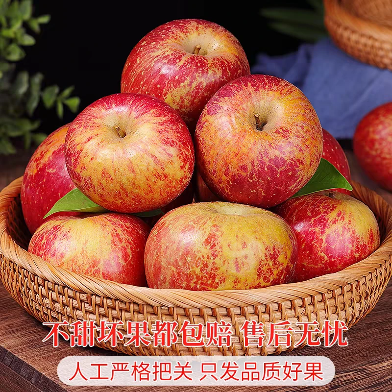 小黑哥专属原产现摘云南昭通丑苹果甜脆冰糖心营养新鲜水果5/10斤