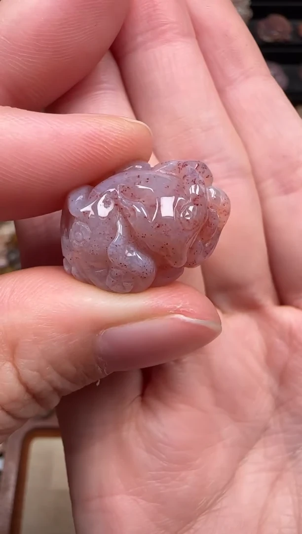 颈饰未镶嵌硅化珊瑚（珊瑚玉）174