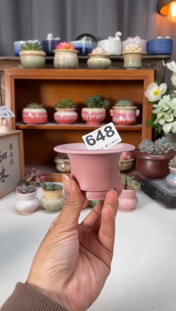 瓷片648知木小芳花盆