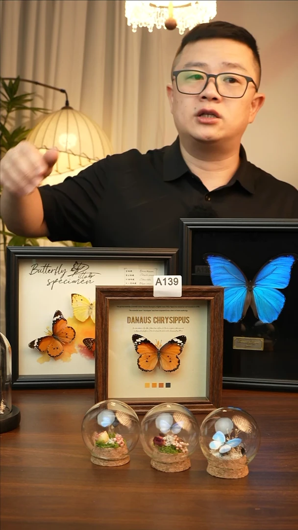 金斑蝶-（6寸方胡桃色新款框）A139