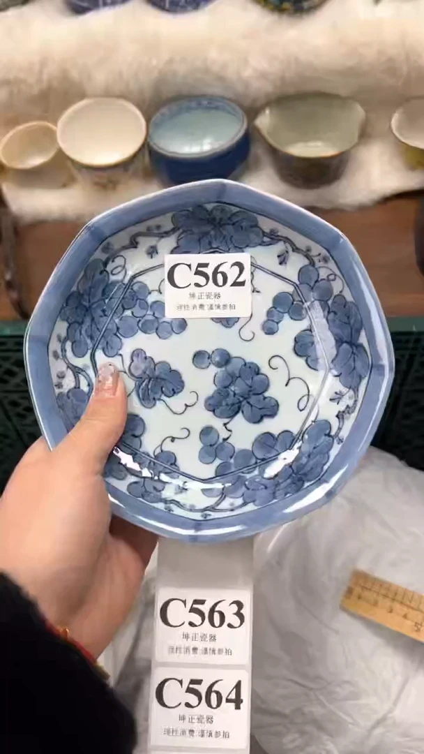 【闪购商品】瓷片          C562