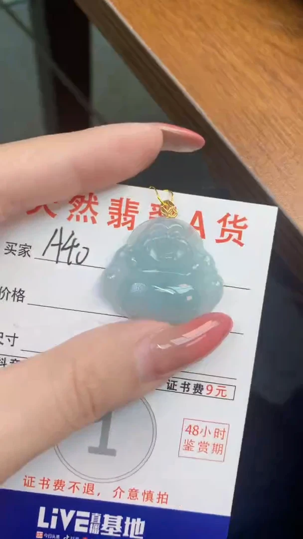 颈饰未镶嵌翡翠天然A货翡翠挂件