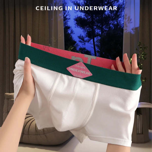 轻奢男士内裤男款棉质透气平角裤个性潮流短裤男生时尚四角底裤头