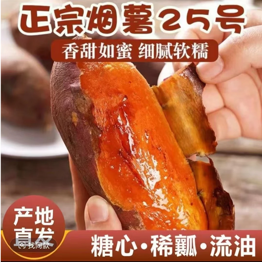 【产地直发】正宗烟薯25号流油流密流糖心蒸煮烤红薯地瓜新鲜现挖