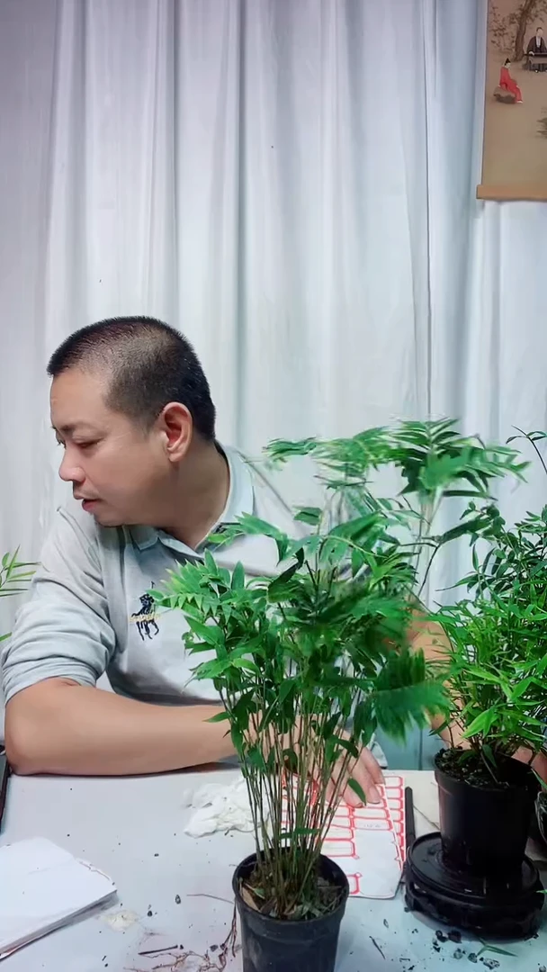完全开放77777777