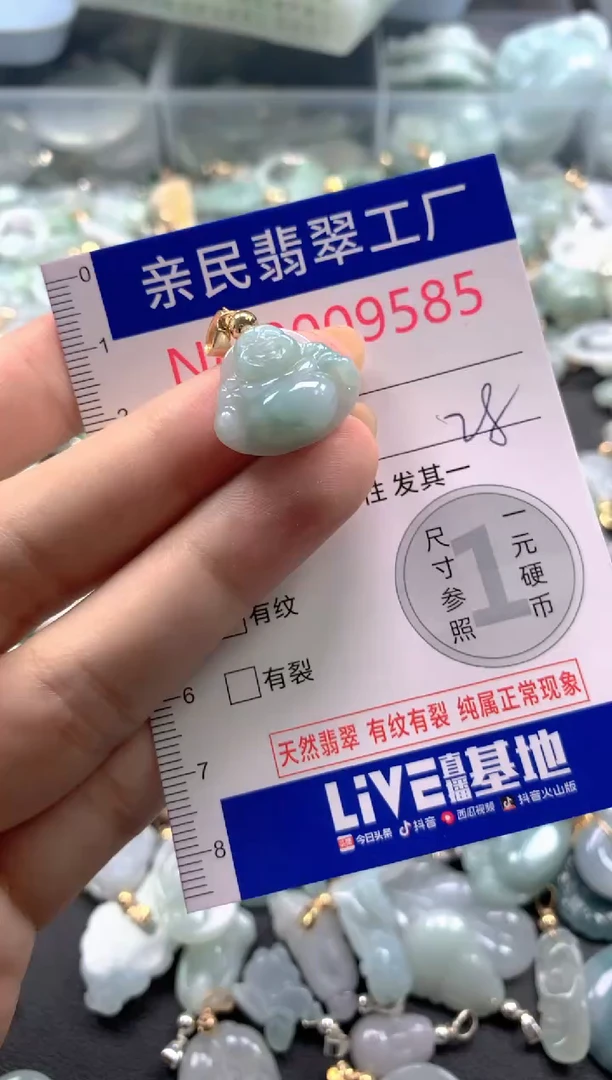 颈饰未镶嵌翡翠9585