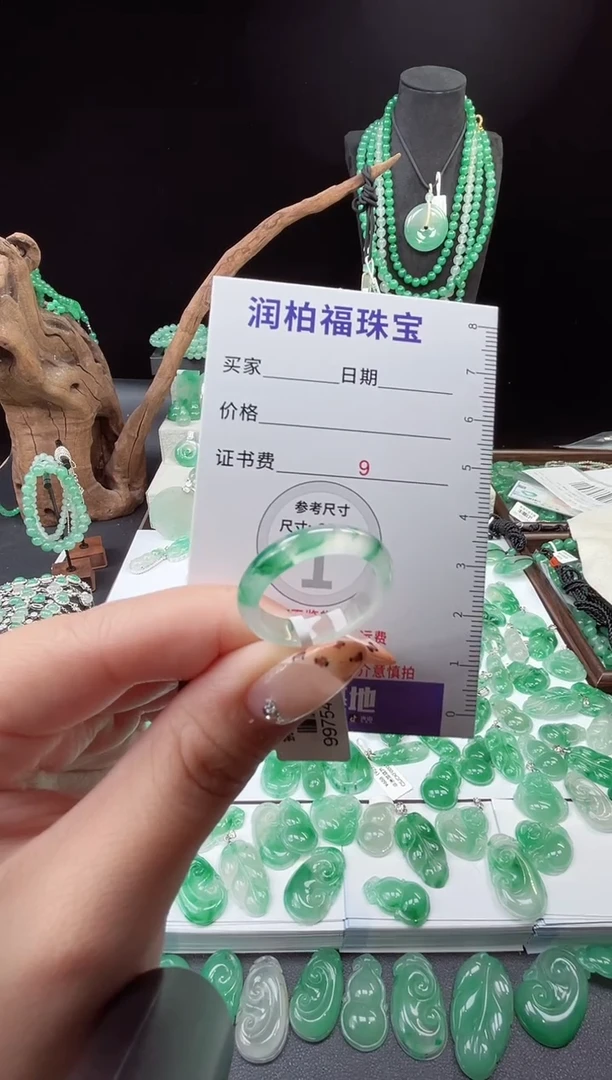 吊坠(赠链)未镶嵌石英质玉（非洲翠）19.133戒圈22圈口