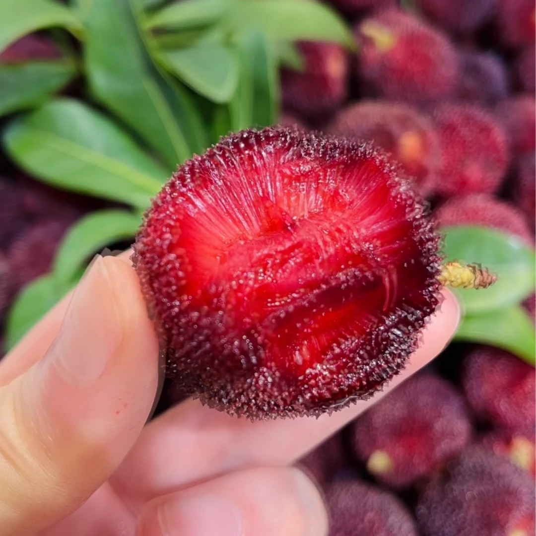 东魁杨梅15.8元/份约500g