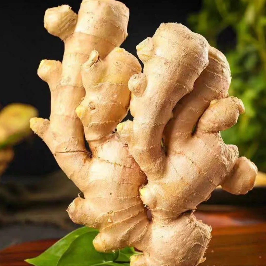 姜一1袋（250-300克）