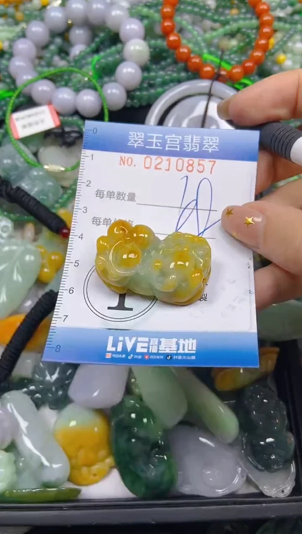 颈饰未镶嵌翡翠闪购C0210857