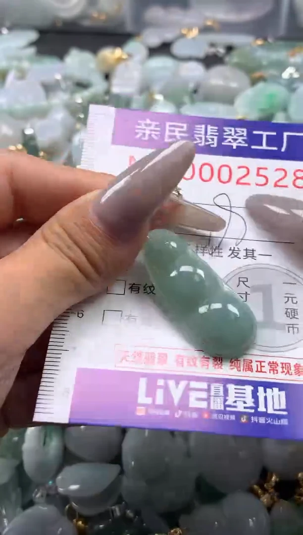 颈饰未镶嵌翡翠2528