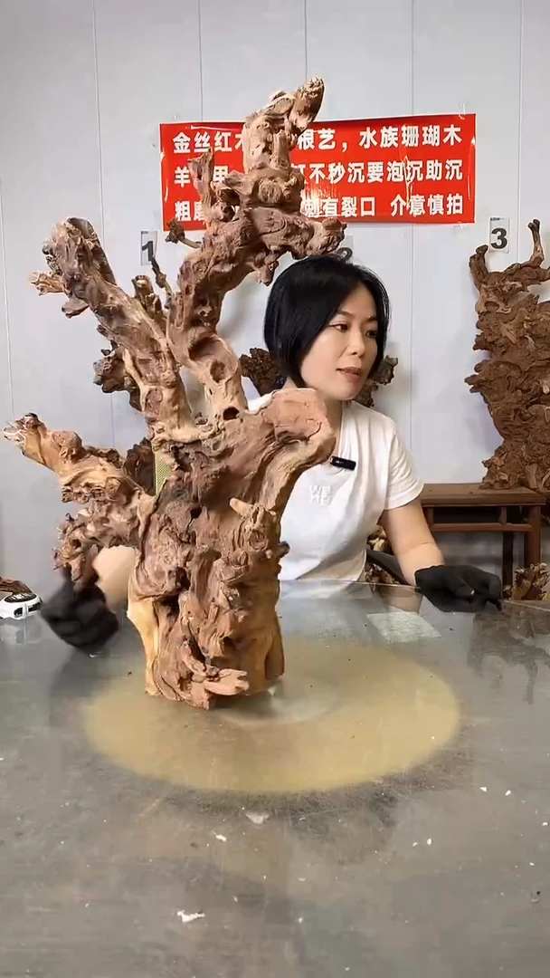 香榧木金丝红木 羊蹄甲