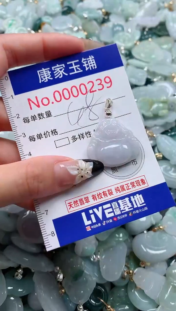 翡翠未镶嵌颈饰239