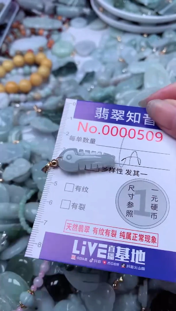 翡翠未镶嵌吊坠(不含链)509