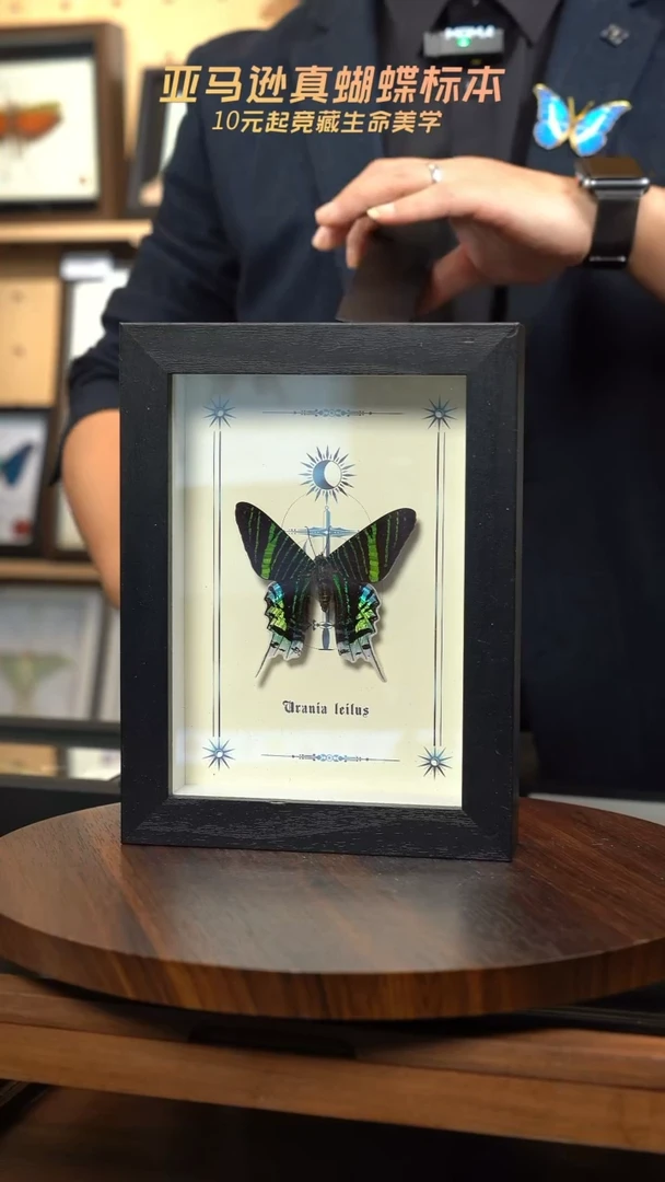 月亮蛾图腾款7寸竖框