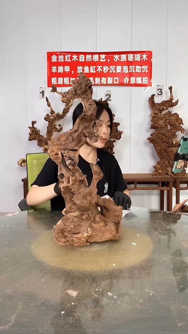 香榧木金丝红木  羊蹄甲