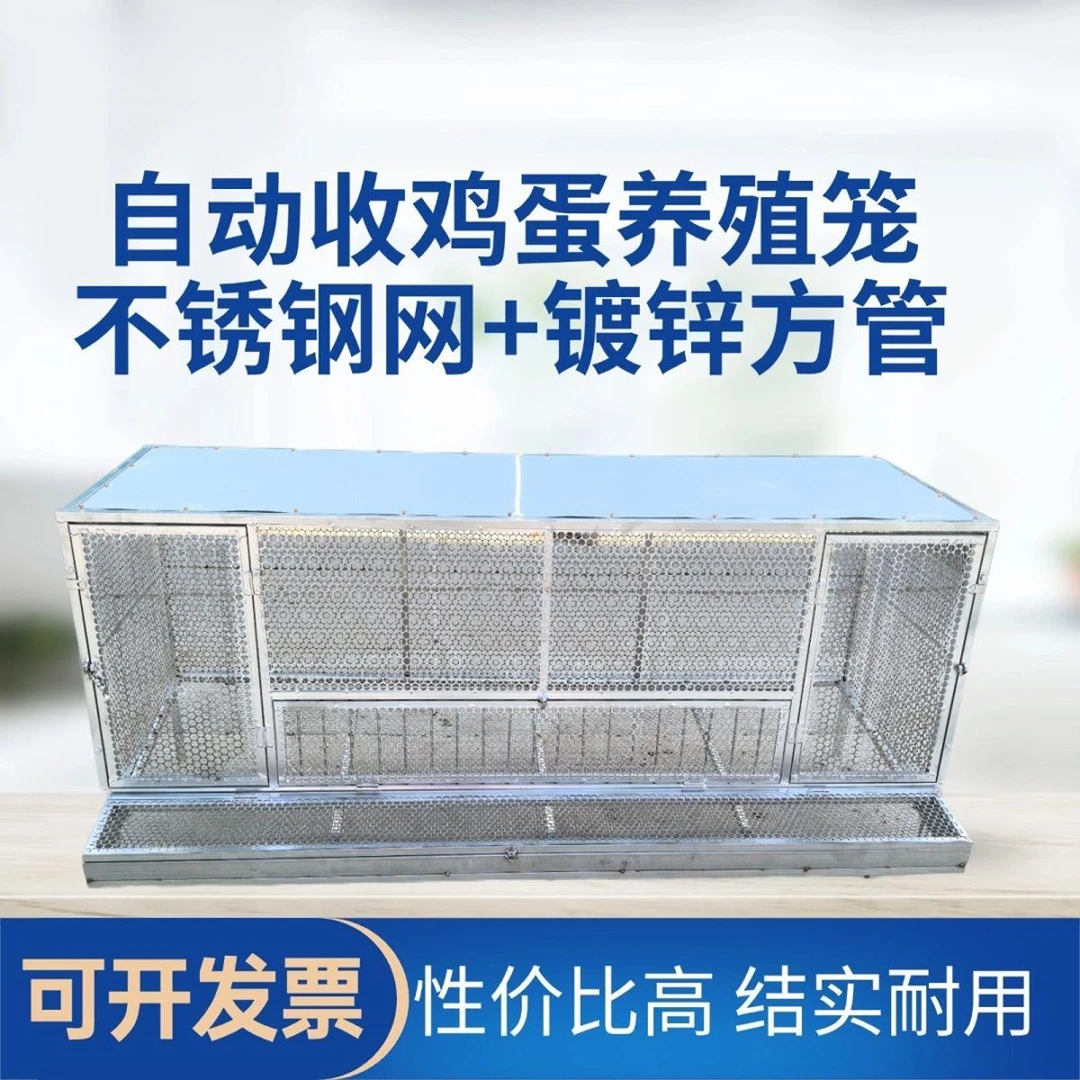 鸡笼蛋鸡笼可自动收纳鸡蛋笼外喂食防黄鼠狼不锈钢鸡笼不锈钢鸡笼