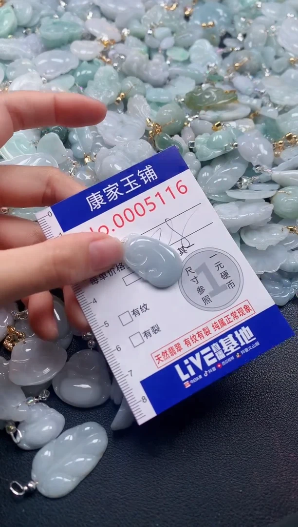 颈饰未镶嵌翡翠51161