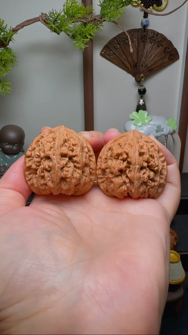 文玩核桃把件大粗筋货头 边41