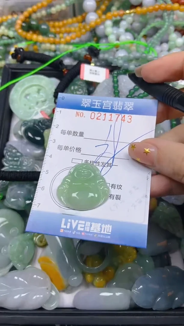 颈饰未镶嵌翡翠闪购C0211743