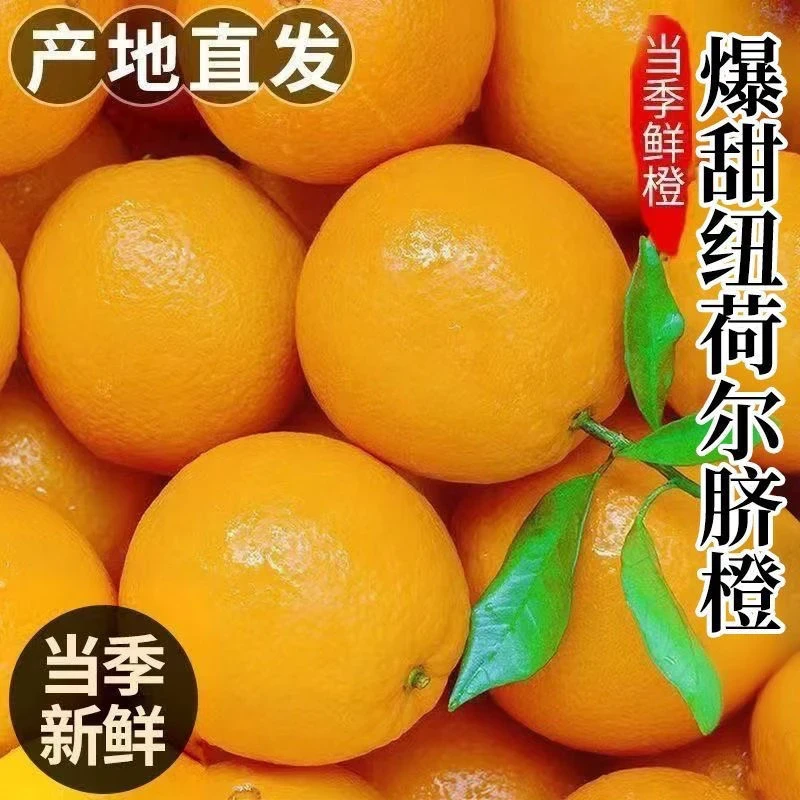 A脐橙带箱5斤湖南高山纽荷尔脐橙新鲜采摘香甜多汁