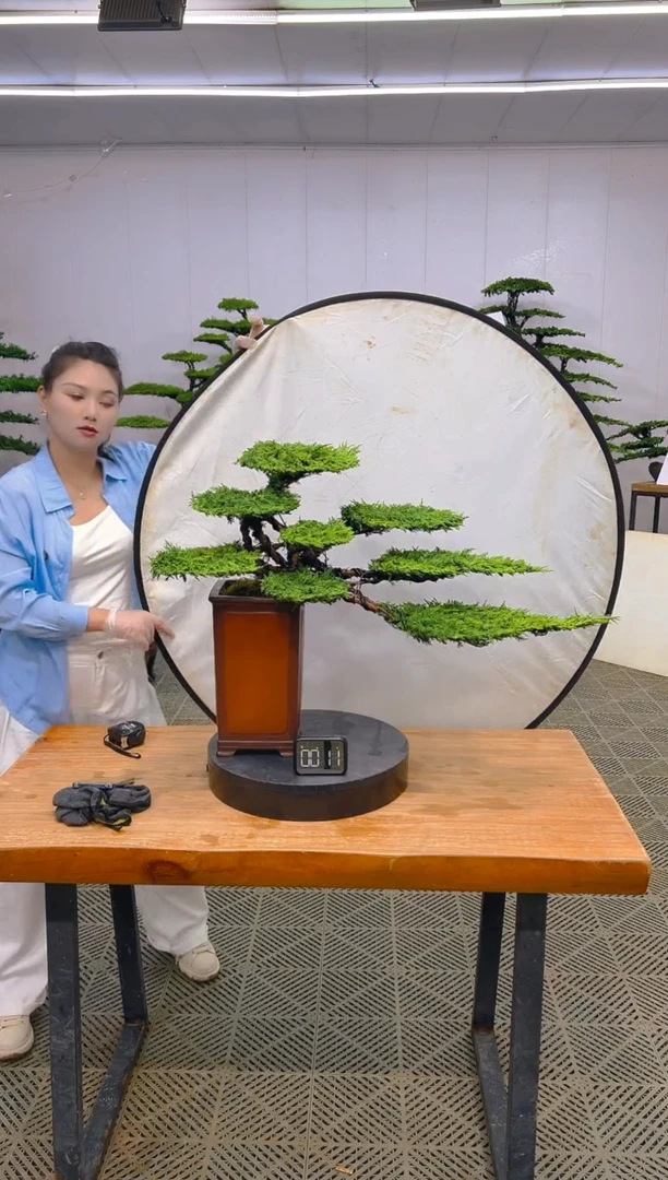 无花朵一物一拍一物一拍