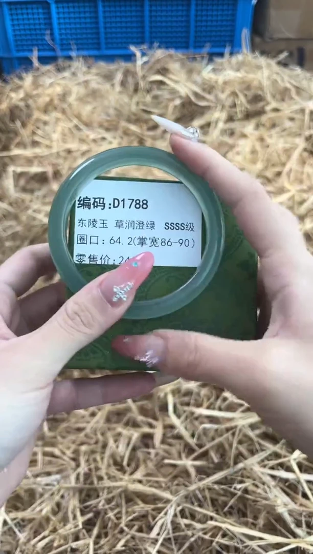 未镶嵌手镯石英质玉D1788