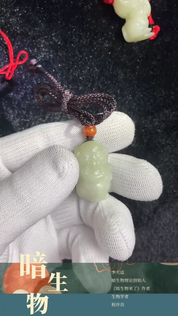 【闪购商品】和田玉吊坠(赠链)未镶嵌猪猪