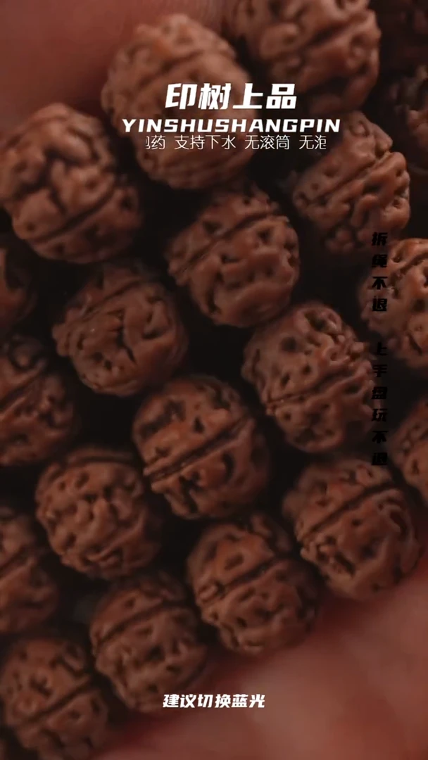 手串金刚菩提老树王108   10     0689