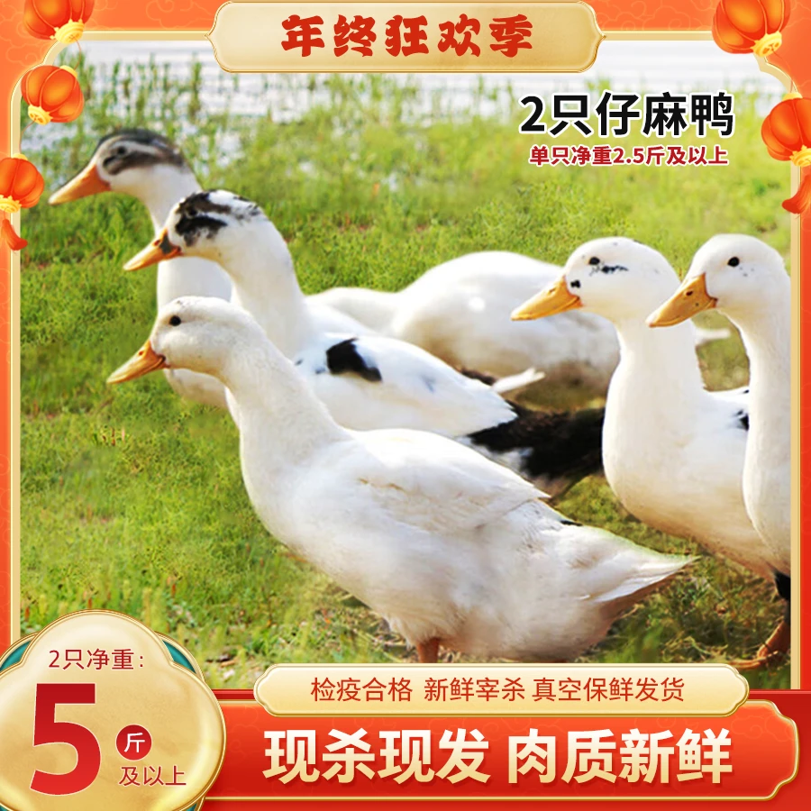 【bozaijia】波仔家洪湖仔麻鸭单只净重1.25kg*（2只）