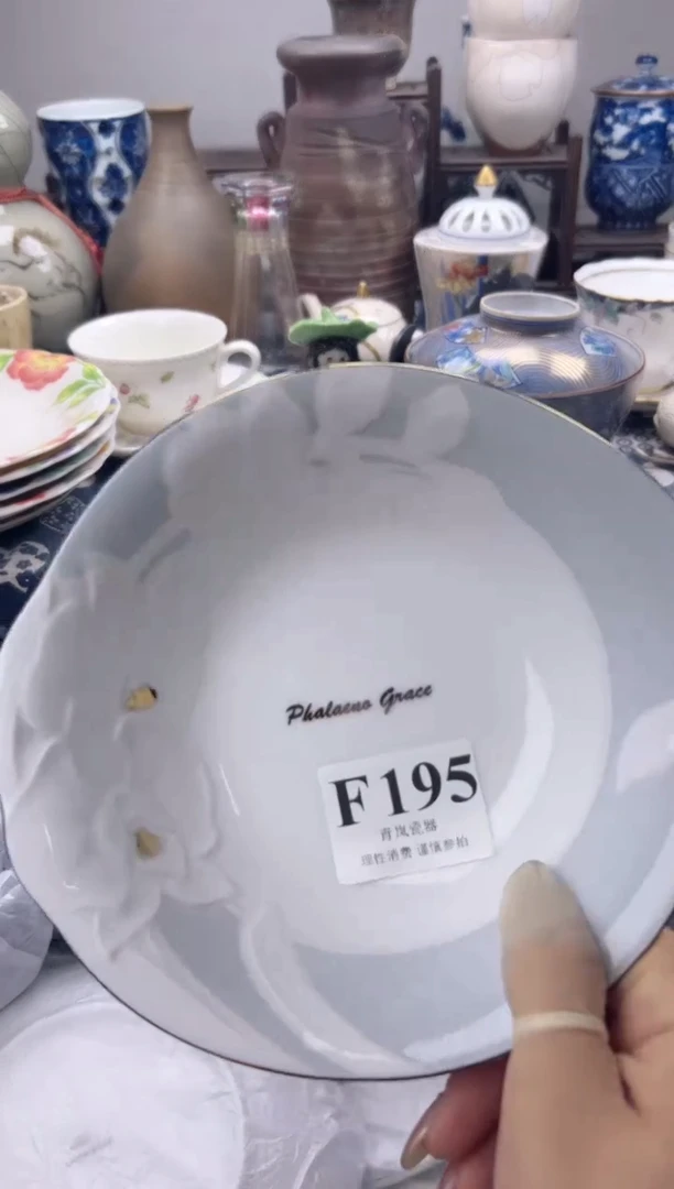瓷片子*    F195